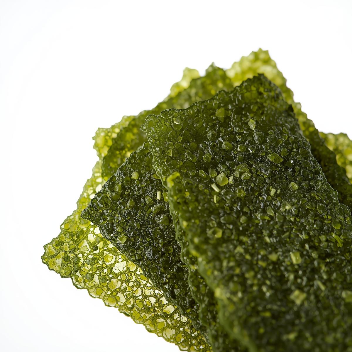 Seaweed Wafer